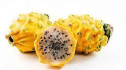 Pitahaya