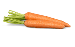 Zanahorias