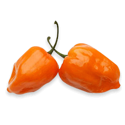 Chile Habanero Naranja