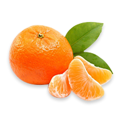 Mandarina