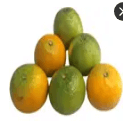 Laranja Pera Média - QA Aut