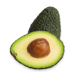 Abacate Avocado