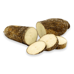 Mandioca
