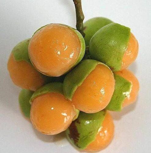 Mamon